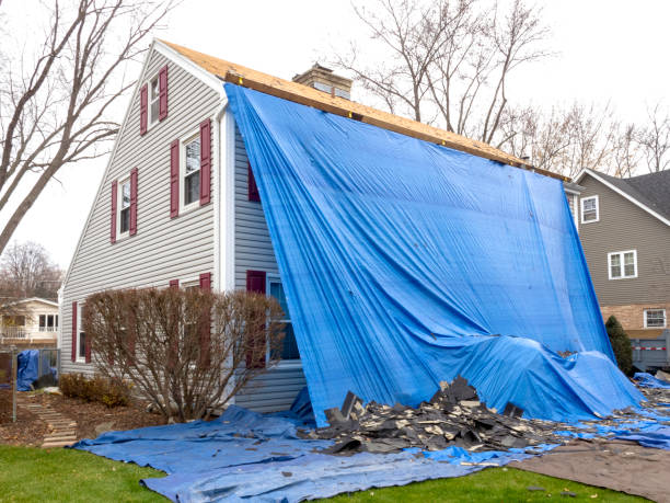 Best Shed Removal  in Parshall, ND